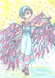 SAKI und UME