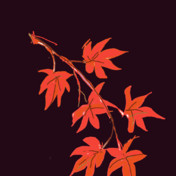 紅葉イラスト ニコニコ静画 イラスト