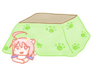 久々にゴーヤ見たので