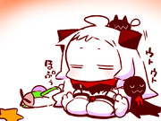 うとうとほっぽ