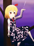 毎月七日はルーミアの日