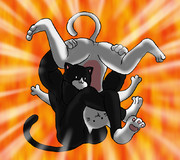 ふぇいばりっと・ほーるど