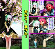 花見をしようよ！（大）