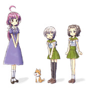 生存ルート（改）