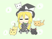 にゃんこハーレム