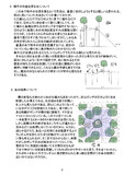 石版考察ー２回目ボンデ戦についてー２