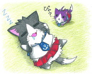 阿賀野ネコ＆酒匂ネコ