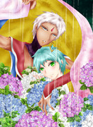 紫陽花を愛でる慈愛の姫