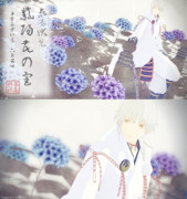 紫陽花まつり。