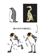 皇帝ペンギン温暖化対応型進化