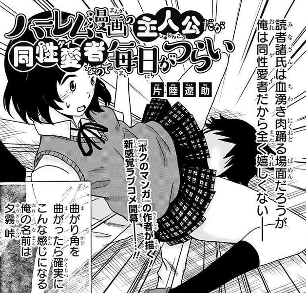 おすすめ ハーレム 漫画
