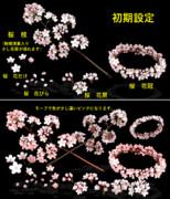 桜 配布