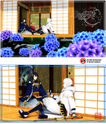 本丸に紫陽花が咲いたよ。