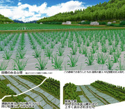 田畑のある山間