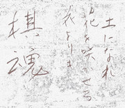 棋士（豊川孝弘さん、室谷由紀さん）の揮毫を臨模