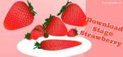 Strawberry stage DOWNLOAD