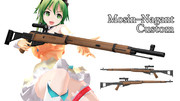 Mosin Nagant Custom