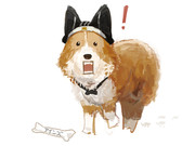 こっちみんなっ！