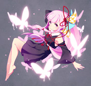 全身の毛がうっすら光る茜ちゃん