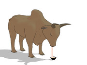 丑の日ですが・・・