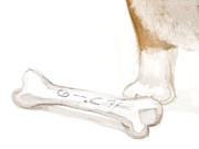 これをルプーのイラストだと言い切る勇気。