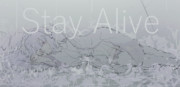 stay alive