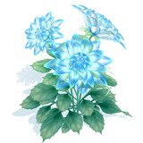 【配布】青い花