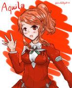 アクィラが来ません