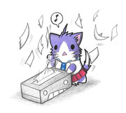 ティッシュで遊ぶ酒匂ネコ