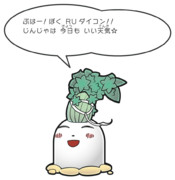 ペーパーRU大根