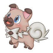 いわんこ。