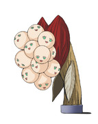 うえきちゃんはいます よろしくおねがいします