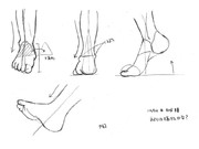 ひとことこごと 248