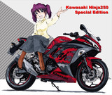 Kawasaki Ninja250SE