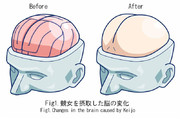 図1.競女を摂取した脳の変化