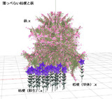 MMD配布：桔梗と萩