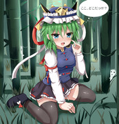 私は竹林でも迷うことは一切無い