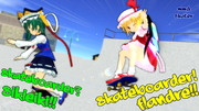 Skateboarder fla-eiki!!!