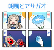 朝風とアサガオを比較してみました