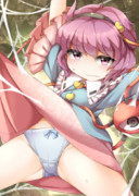 クモの巣にかかったさとり様