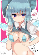 ロリキャラがきょにゅーになるしりーず２ チルノ