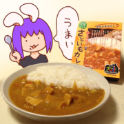 正月だがカレーを食べるHSIさん.cookless