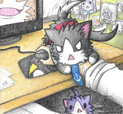 構ってほしい矢矧ネコ