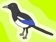 カササギ