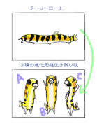 ドジョウ界の進化の過程