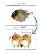 こんぺいとう ニコニコ静画 イラスト
