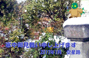 寒中御見舞い申し上げます2017