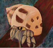 油絵風を目指したオカヤドカリ