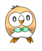 モクロー（Rowlet）