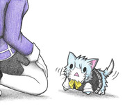 妙高と初風ネコ